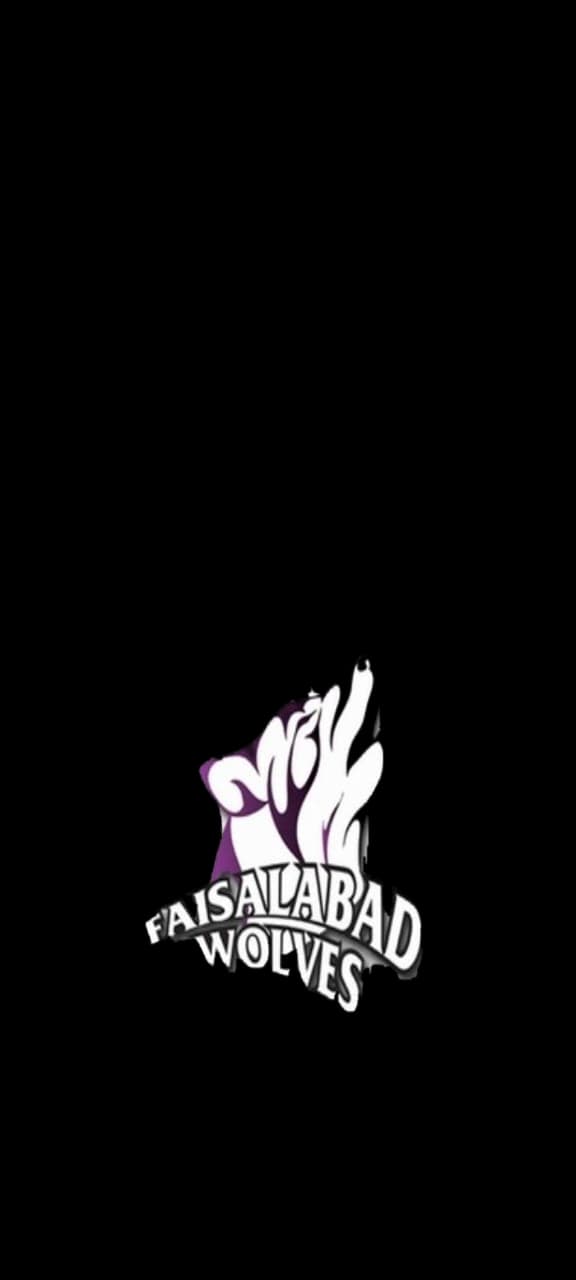 FAISALABAD WOLVES team logo