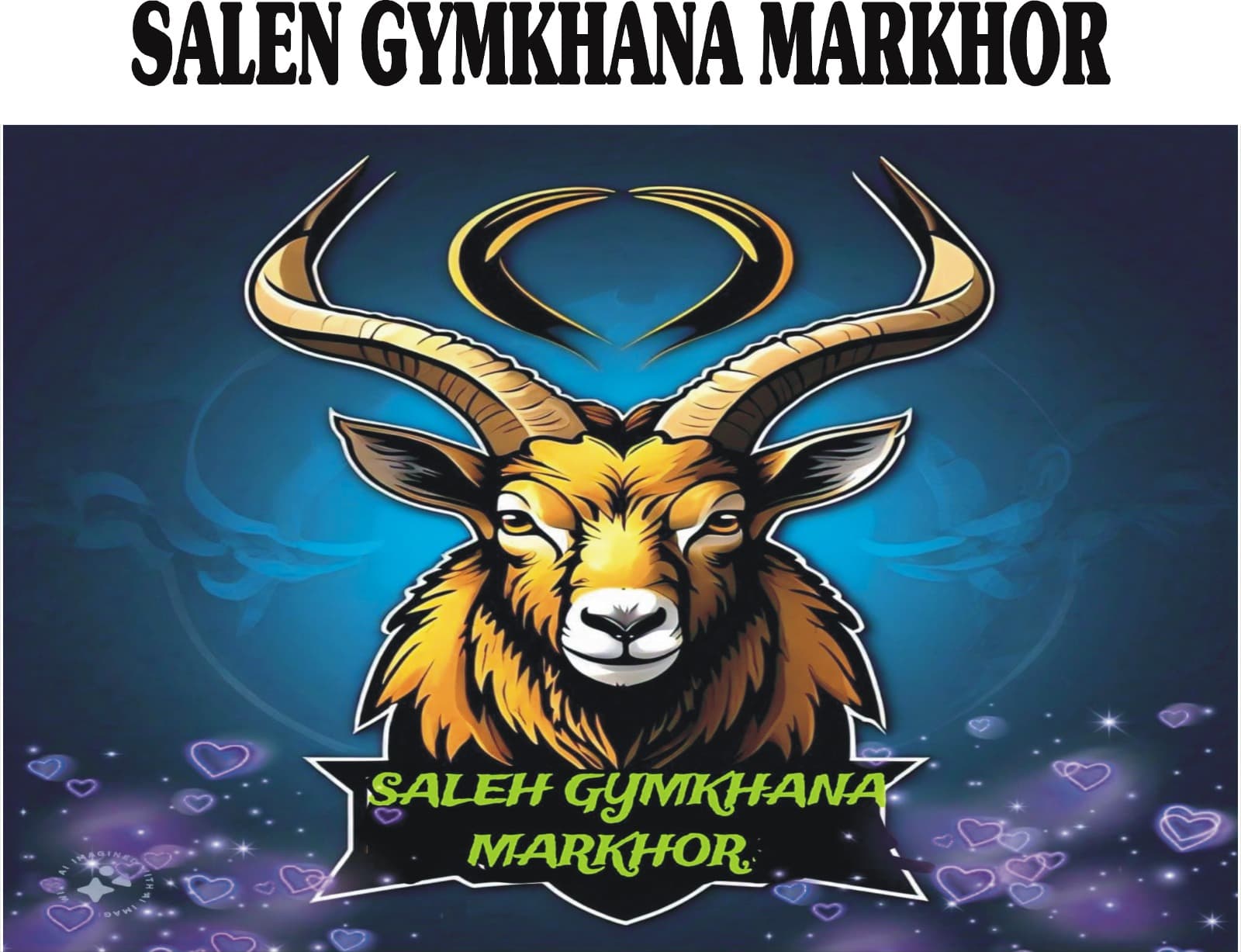 Saleh Gymkhana