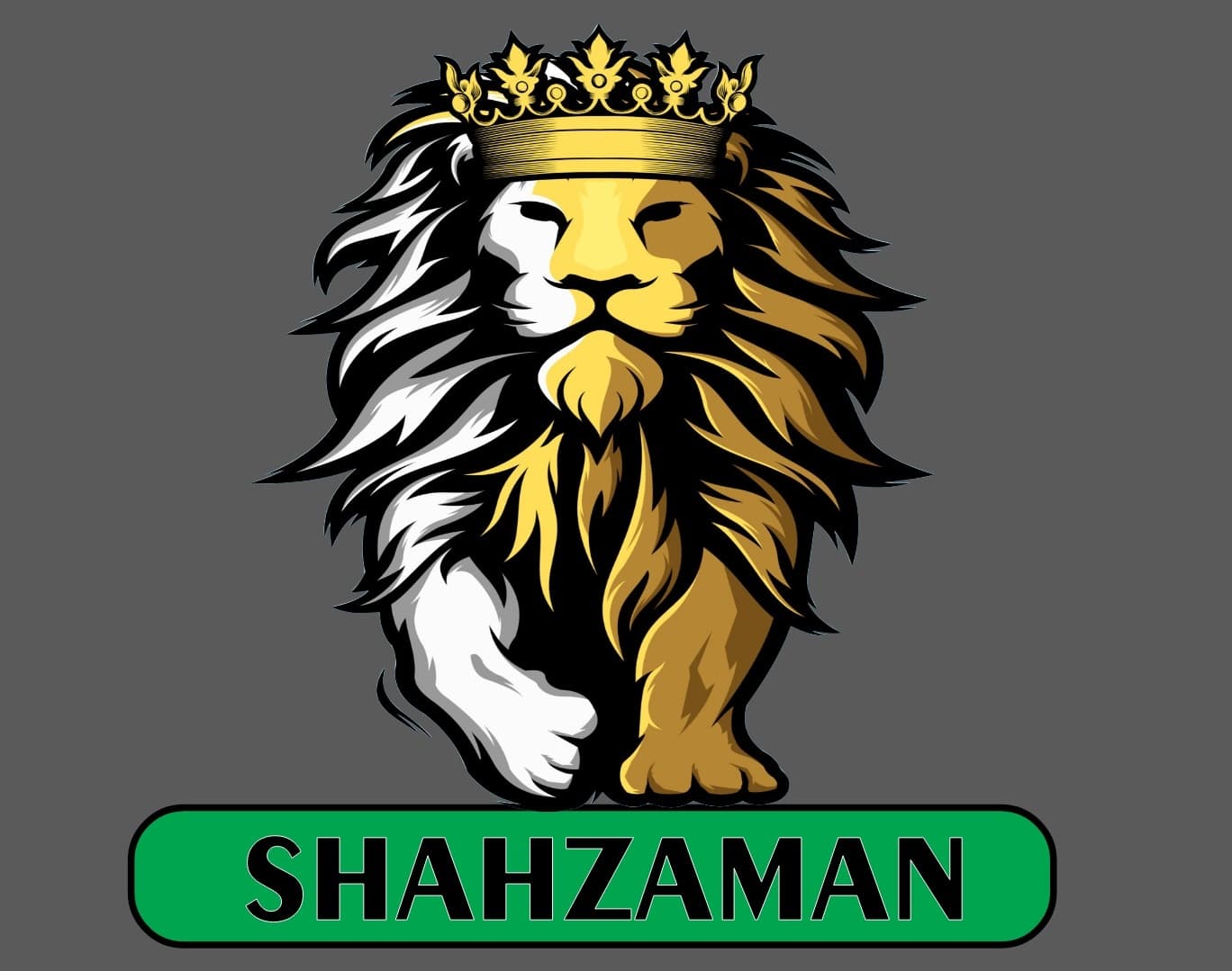 HAROON team logo