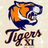 Ali Tiger