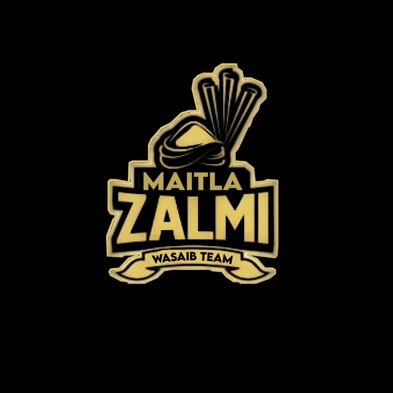 METLA ZALMI team logo