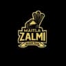 METLA ZALMI