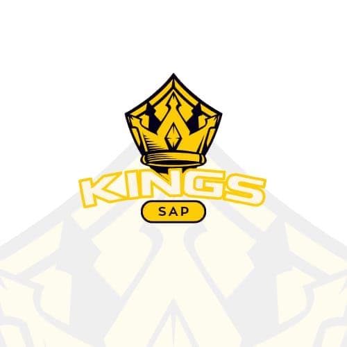 Gulraiz team logo