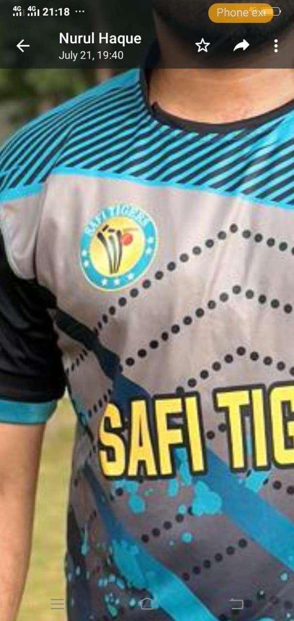 SAFI LIONS team logo