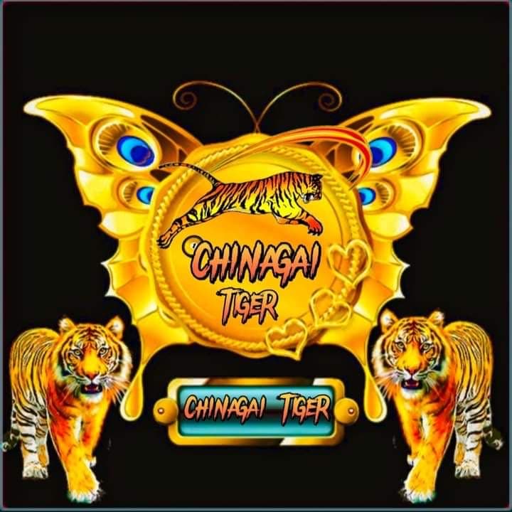 Cheenagai Tigers