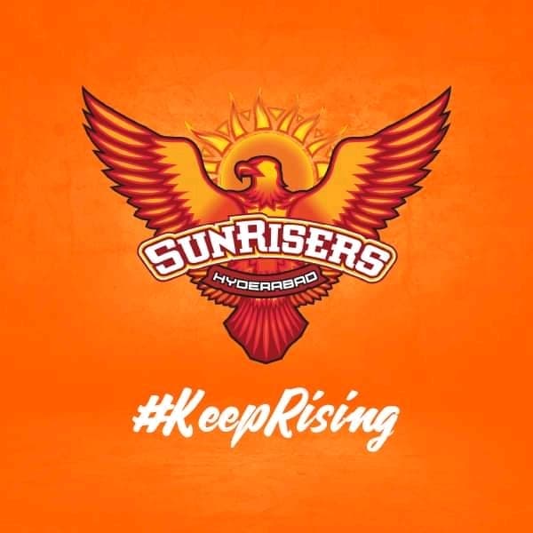Sunrisers Hyderabad* team logo