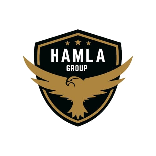 AMEEN CAPTAIN team logo