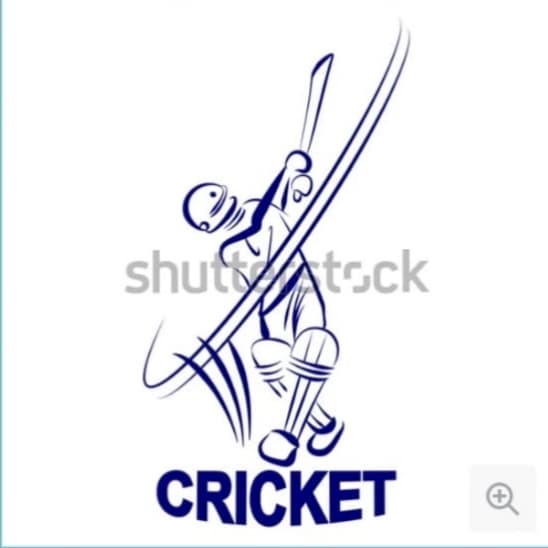 Shaheed Shahnawaz Khan Pandrani team logo
