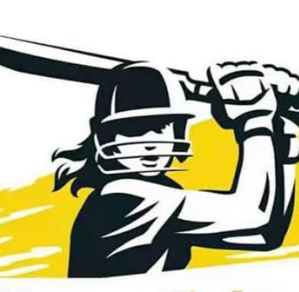 Multan Fighter team logo