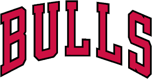 City Bulls team logo
