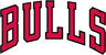 City Bulls