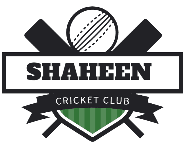 Shaheen Crickt CLub Kashmore team logo