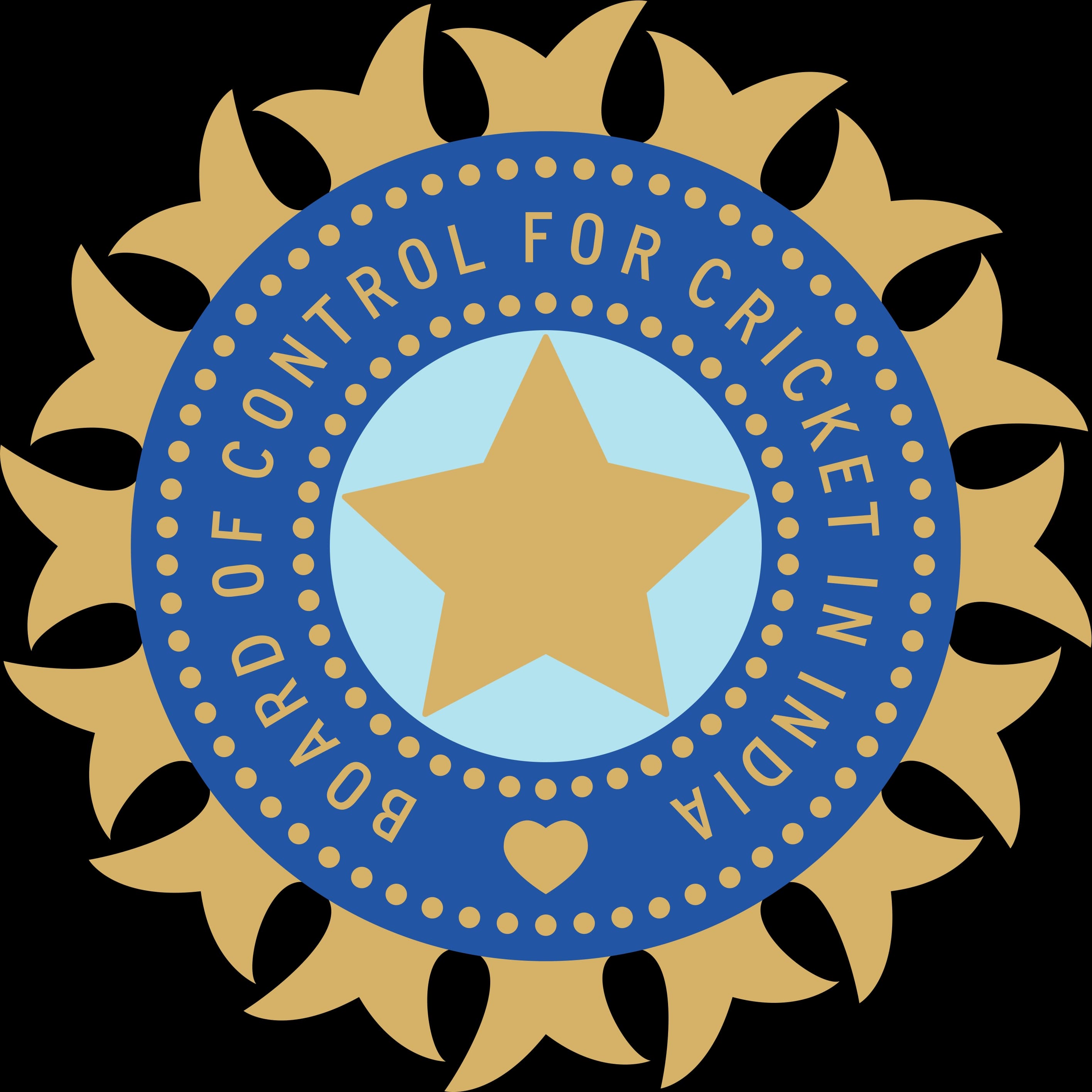 India team logo
