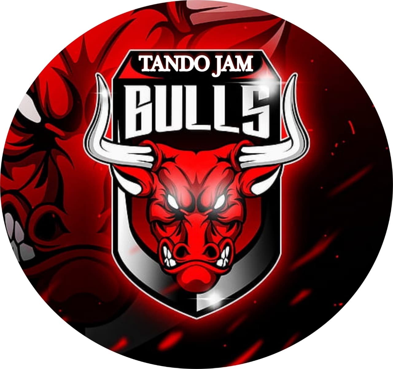 Tandojam Bulls team logo