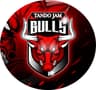 Tandojam Bulls