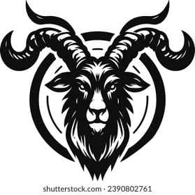 Yasir Ali team logo