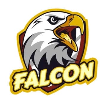 Consumer Finance,Risk,CAD&RAMD (Falcons) team logo