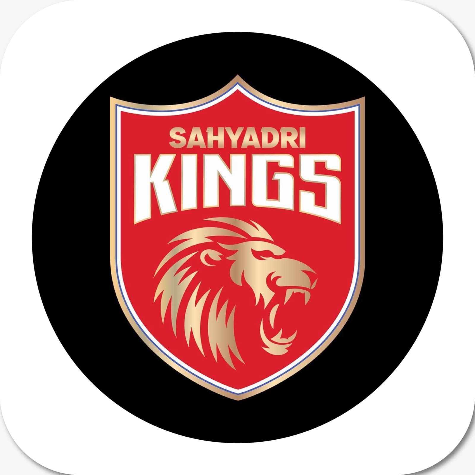 Sushant Abhang team logo