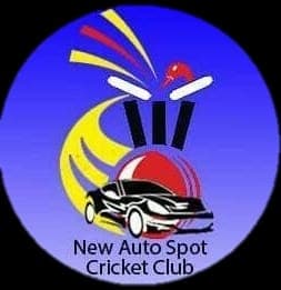 New Auto Spots team logo