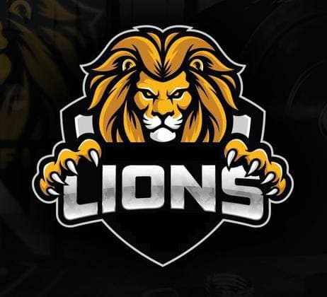 Cyber Lions team logo