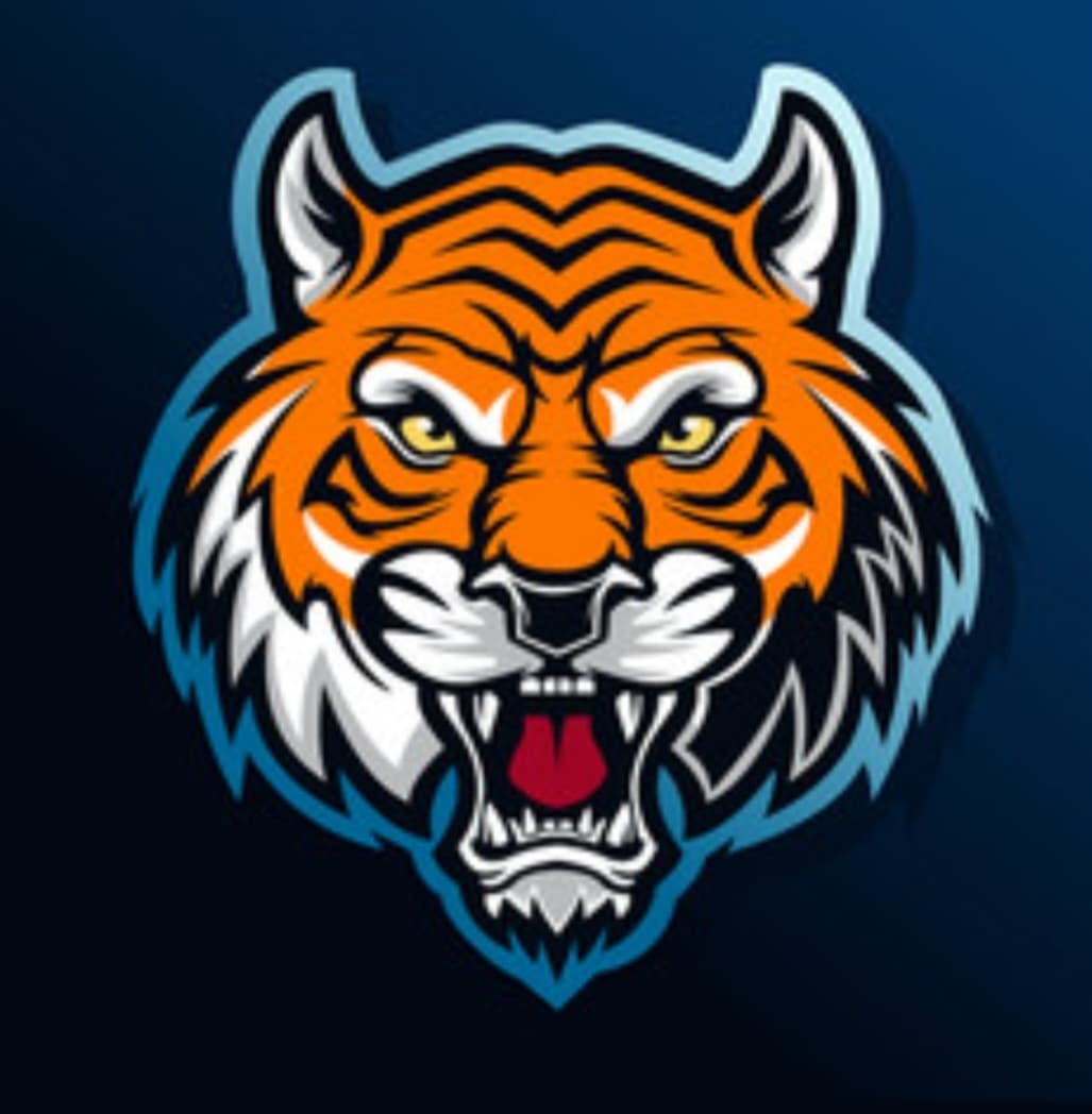 Street Tigers team logo