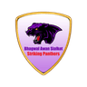 Striking Panthers