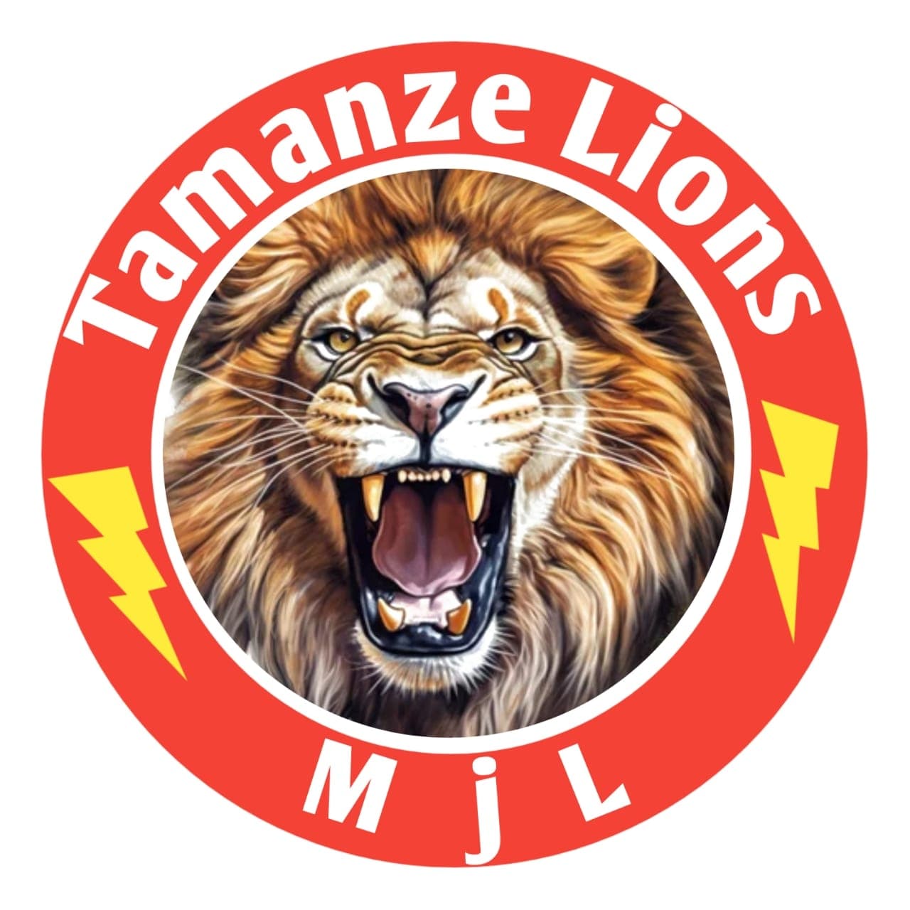 Tamanzai lions team logo