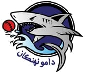 Amo Sharks team logo