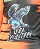 Ziddi Pashtoon team logo