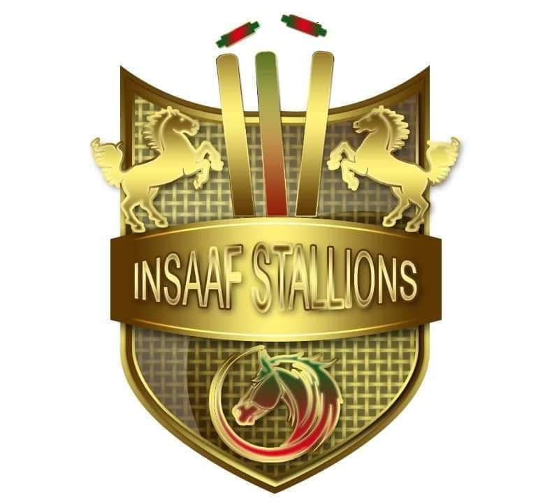 Insaf Stallion