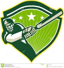 Shaheed Muhammad Bux Rind team logo