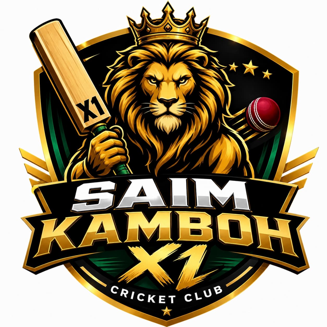 Saim Kamboh X1