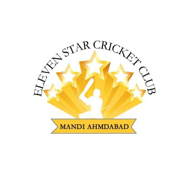 Mandi Ahmad Abad team logo