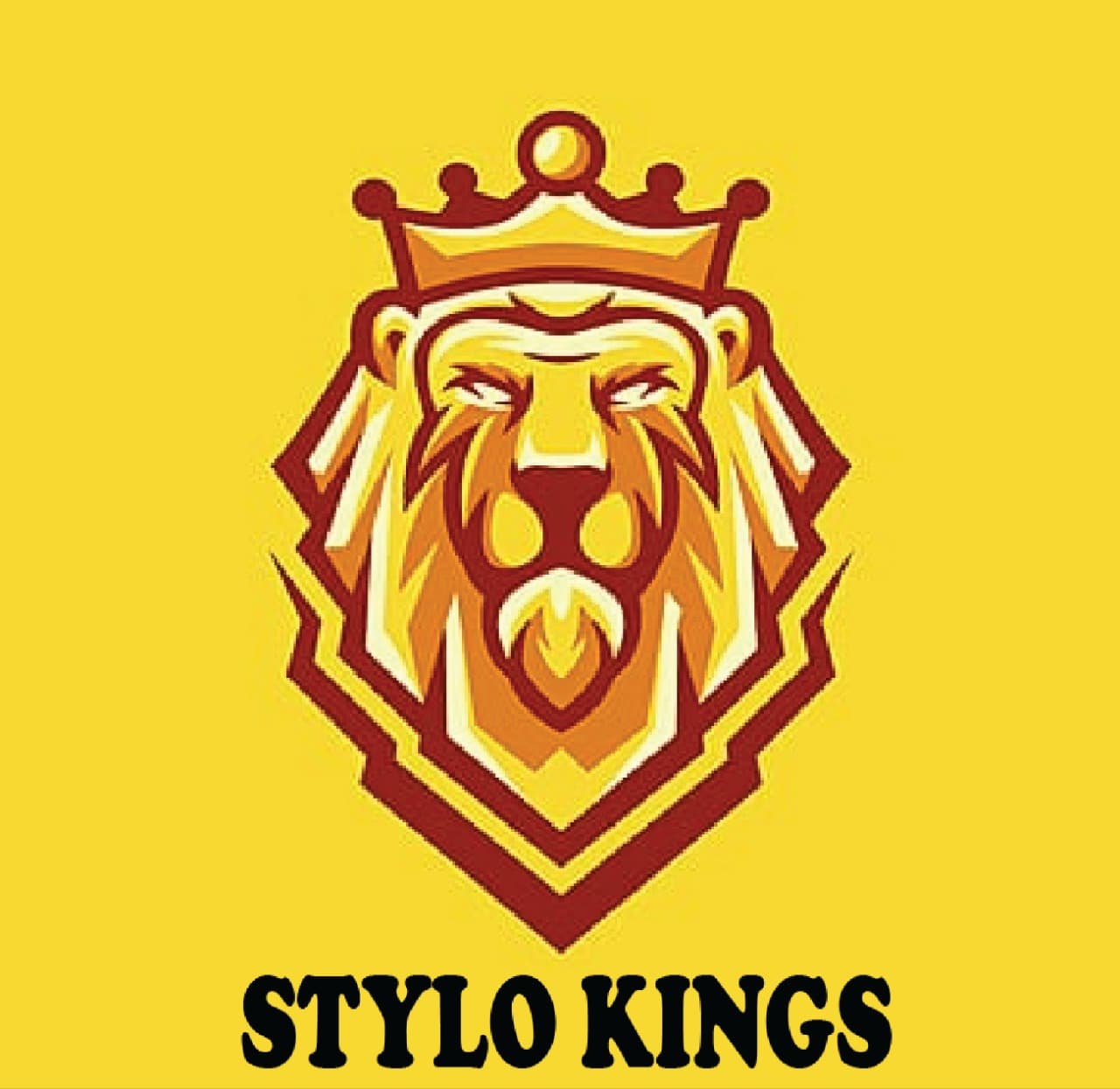 Stylo Kings team logo