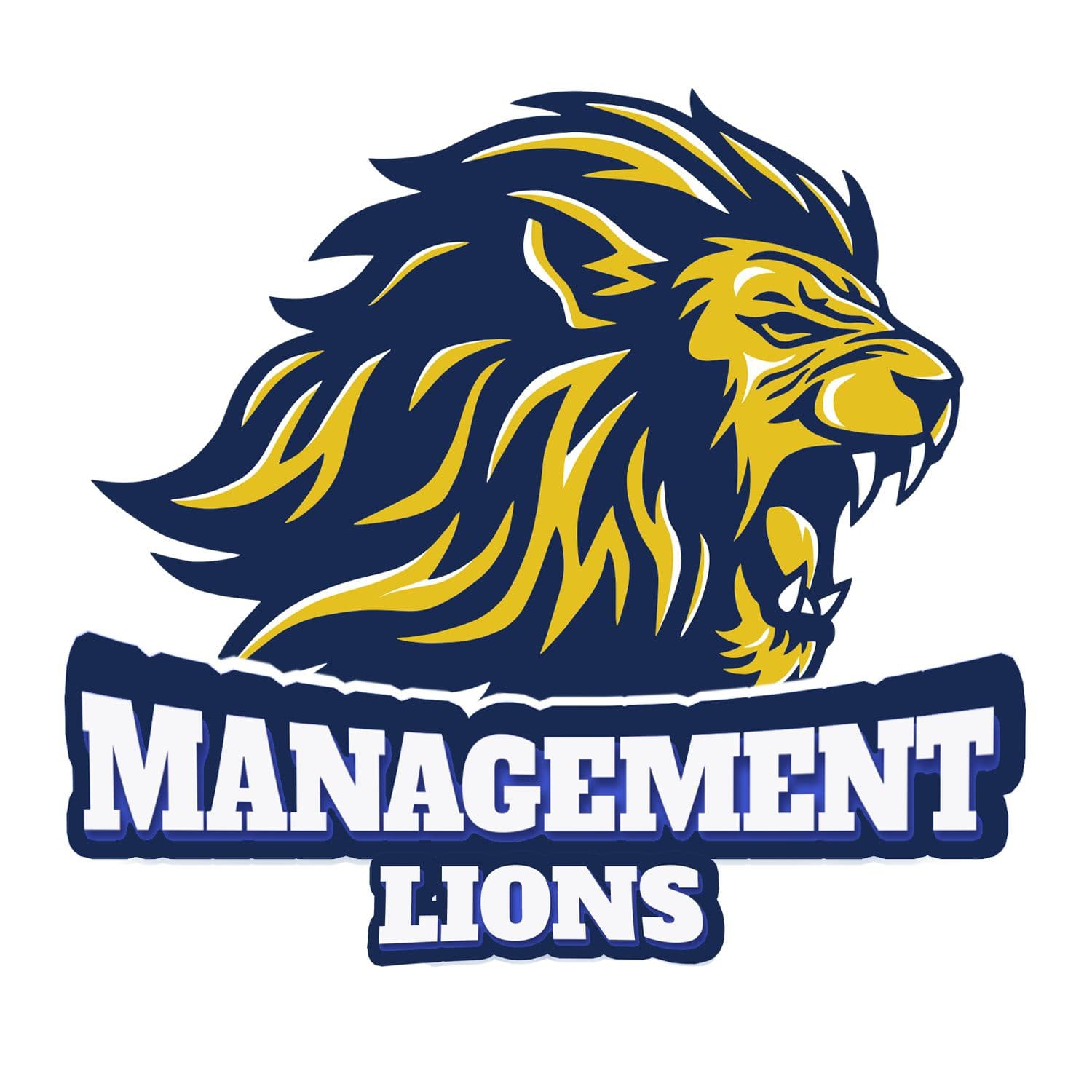 MANAGEMENT LIONS team logo