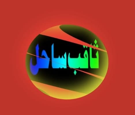 Saqib Sahil Cricket Club team logo