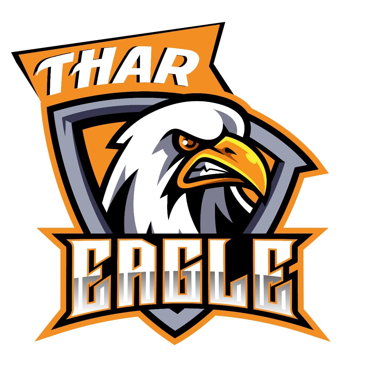 Eagles team logo