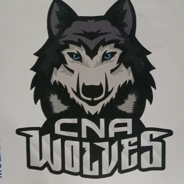 CNA Wolves team logo