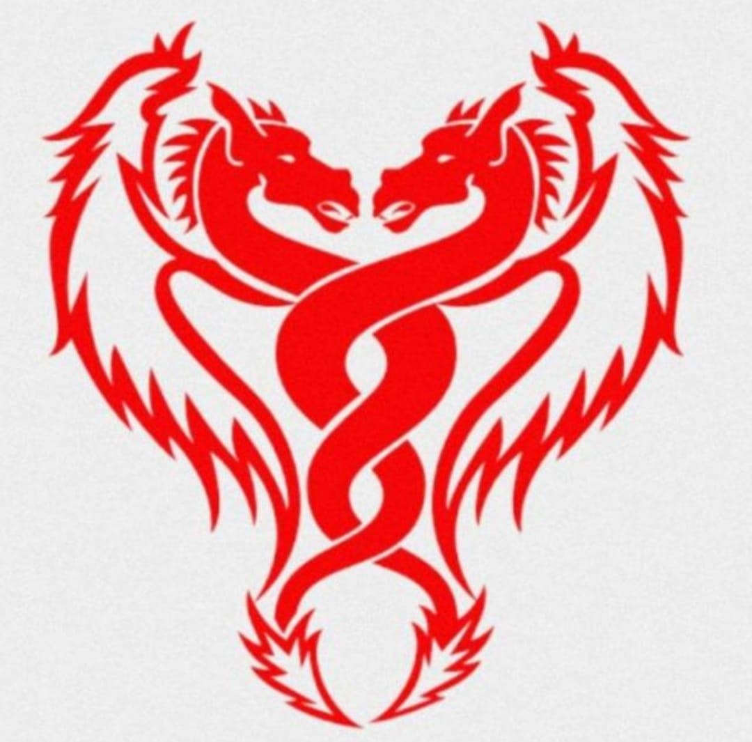 RED DRAGON team logo