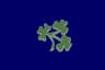 IRELAND T20