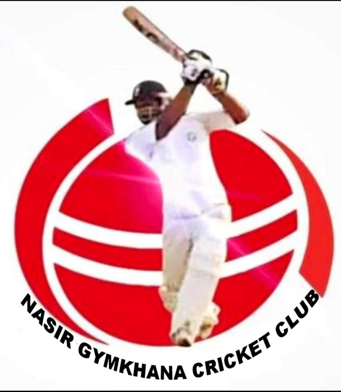 Nasir Academy team logo