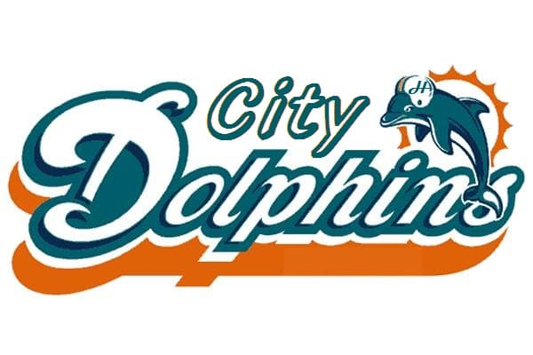 City Dolphins team logo