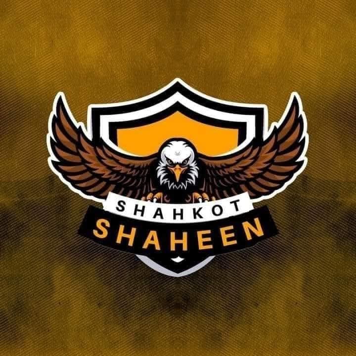 Shaheen team logo