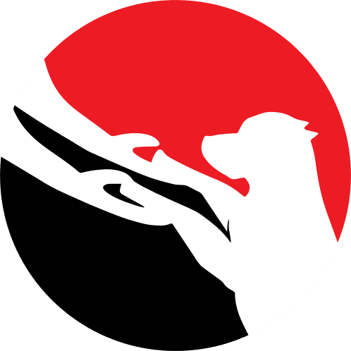 Bobby XI team logo