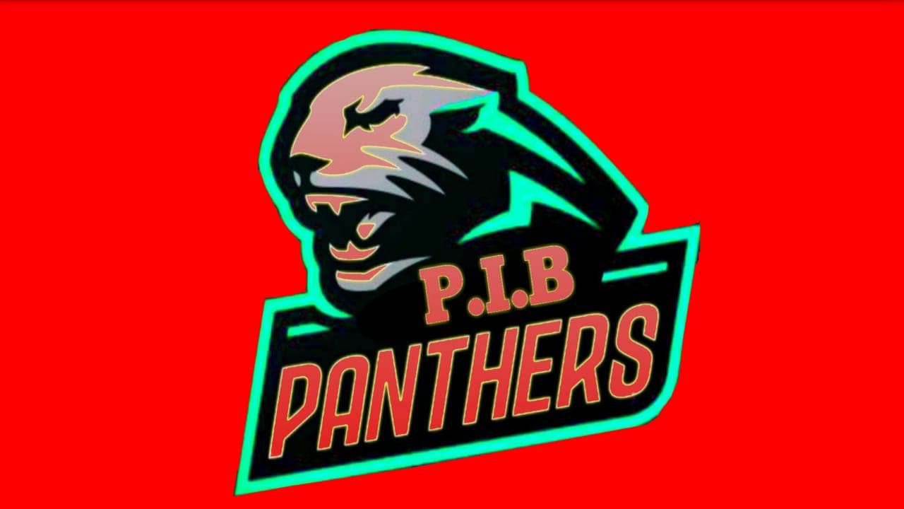 P.I.B Panthers team logo