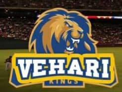 Vehari Kings team logo