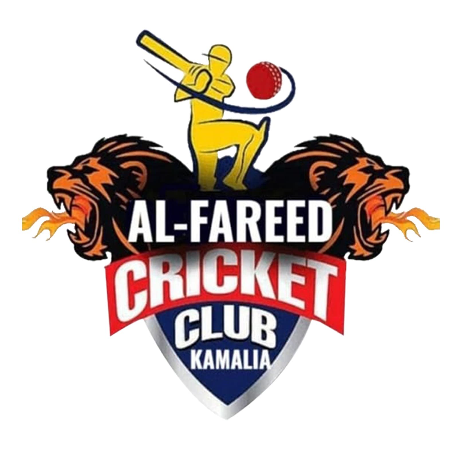 Mehran Palna team logo