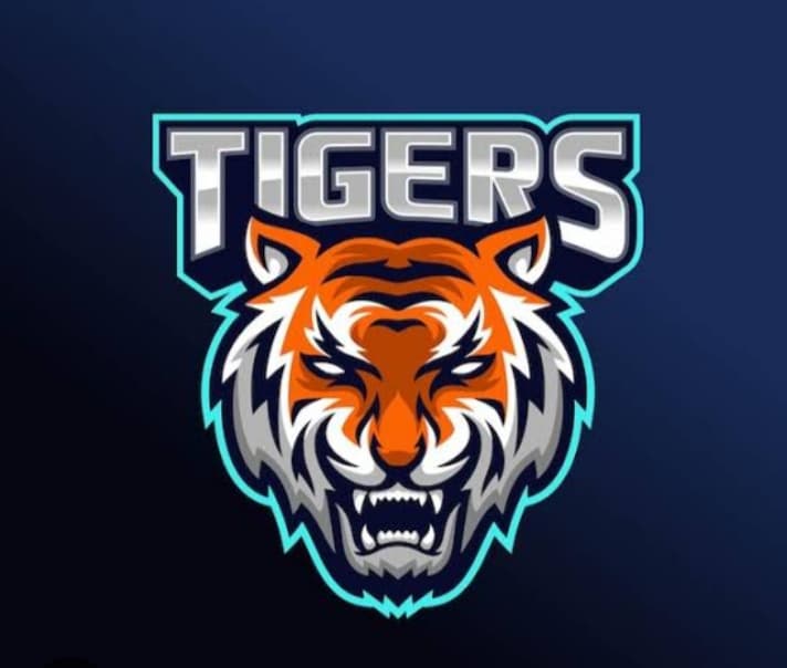 Mazdoorabad Tigers