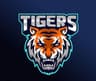 Mazdoorabad Tigers