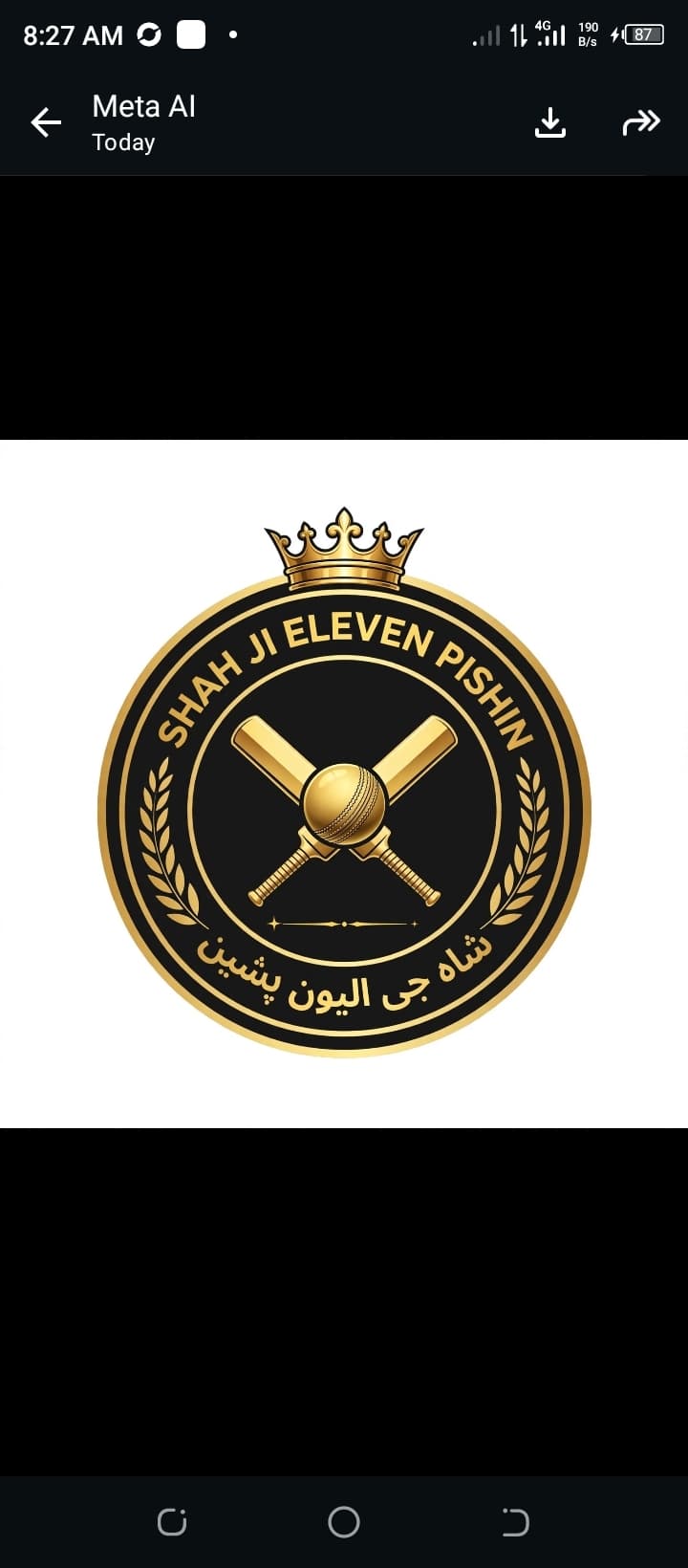 SALMAN team logo